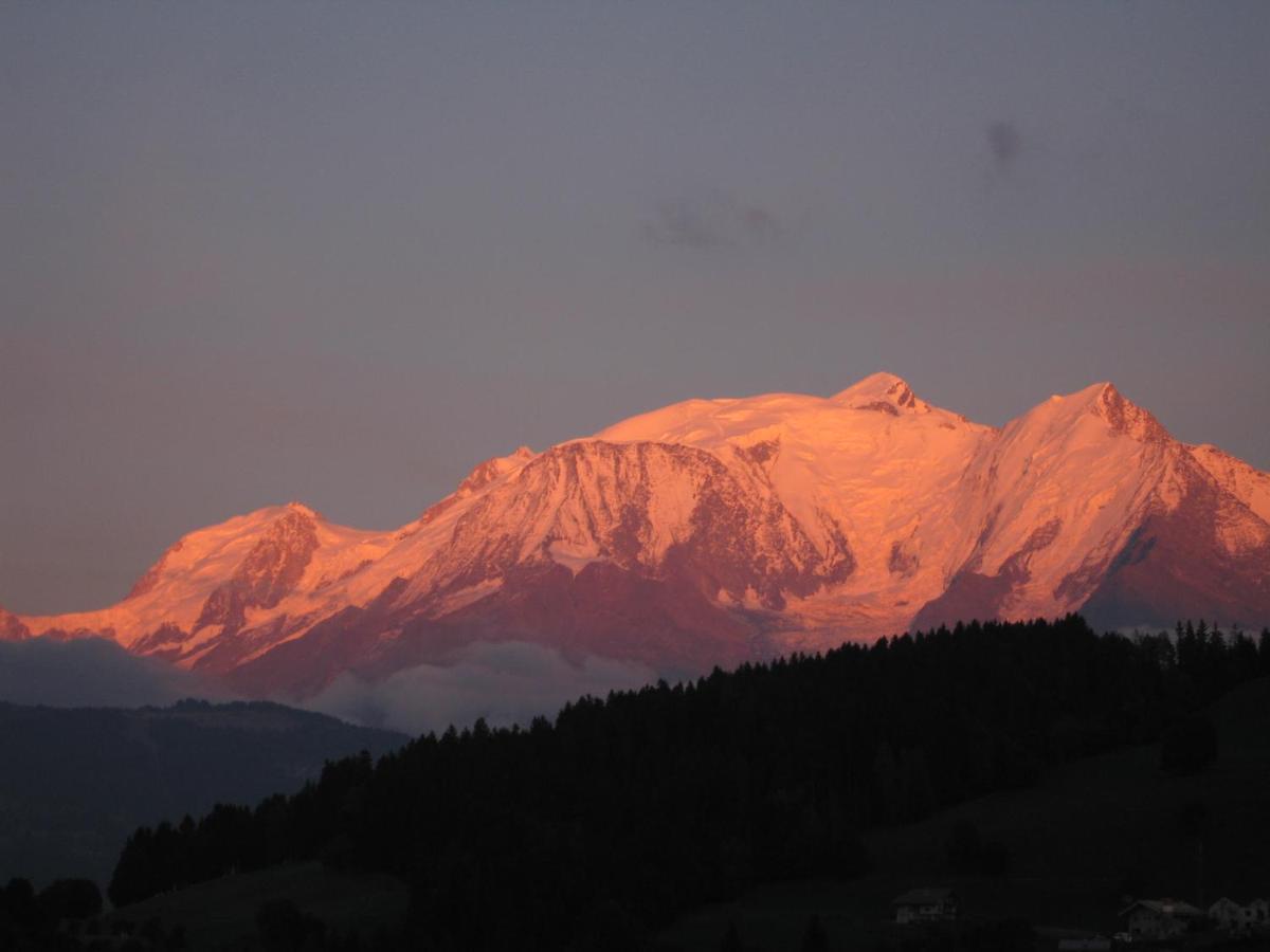 Chalet Le Sabot De Venus Combloux Kültér fotó