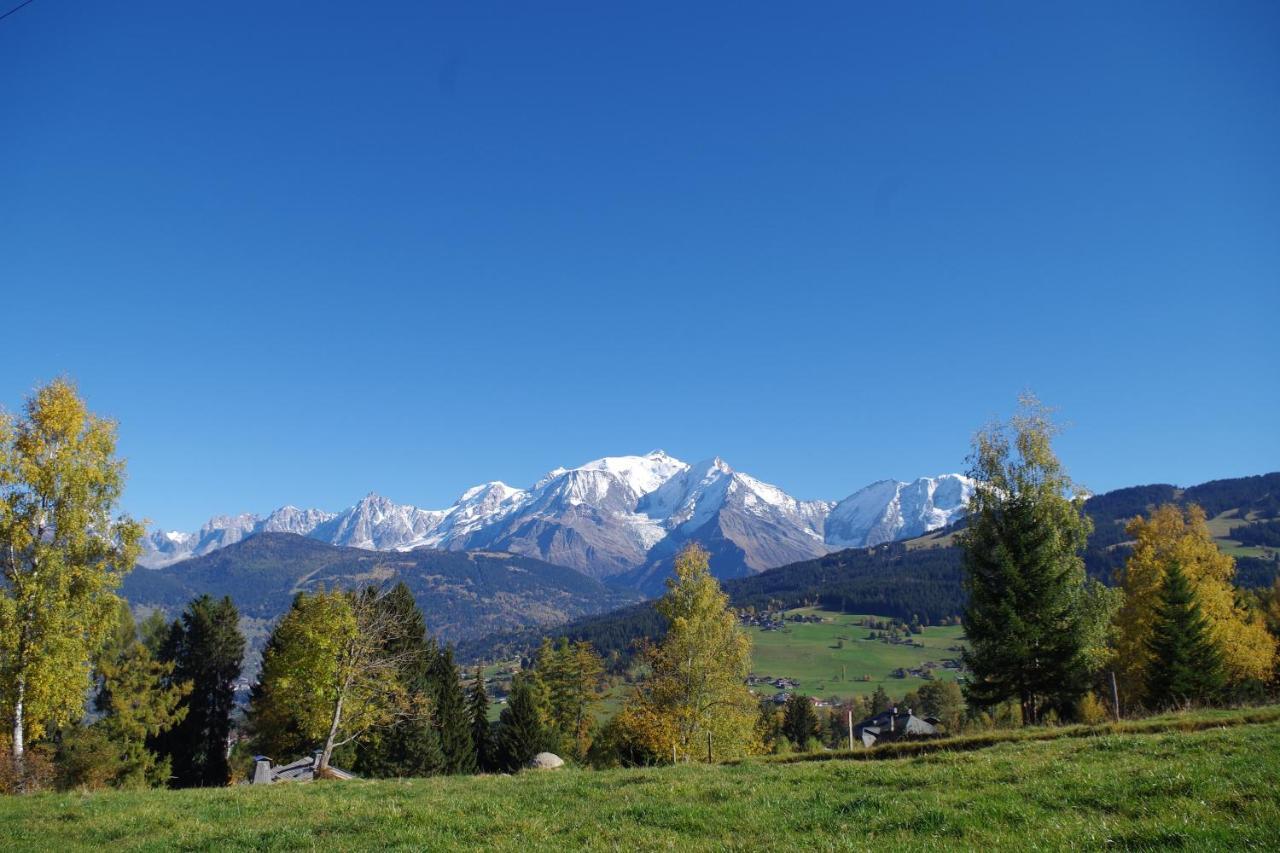 Chalet Le Sabot De Venus Combloux Kültér fotó